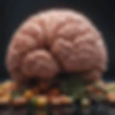 Brain-Boosting Nutrients Selection Brain-Boosting Nutrients Selection