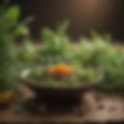 Herbal remedies for gut health