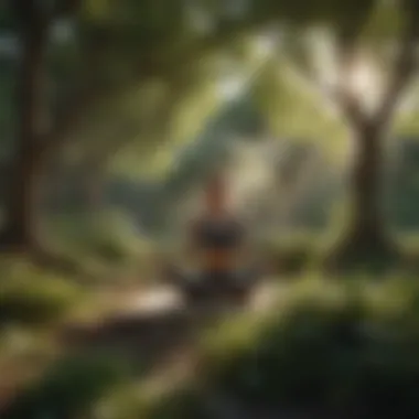 Tranquility Through Nature Yoga Person practicing yoga in serene natural setting