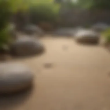 Zen garden with peaceful rock formations and raked sand