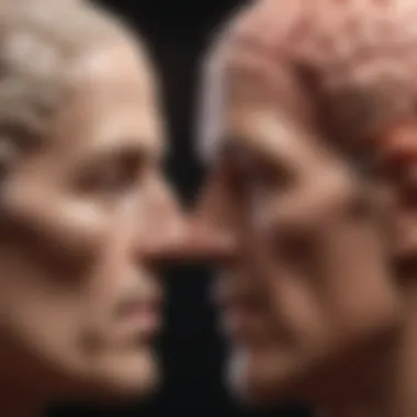 Harmony and Discord in Brain Functions Visual representation of cognitive processes