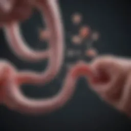 Detailed illustration of various GI gut tests