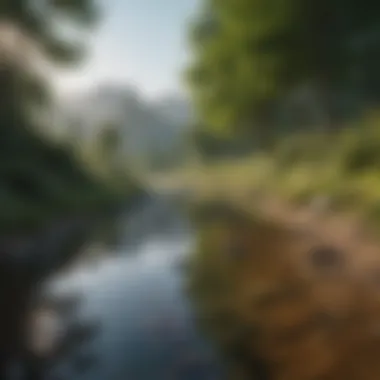 Calmness in Nature A serene landscape symbolizing calmness and clarity