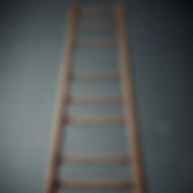 Illustration of a ladder showing progress towards goals