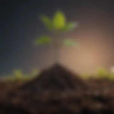 Nurturing Growth from Small Beginnings Illustration of a tree growing from a seedling