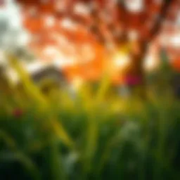 Calming nature scene with vibrant colors
