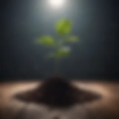 Personal Growth and Well-Being Symbolic image representing personal growth and well-being