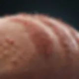 Illustration of common parasitic infections affecting the body