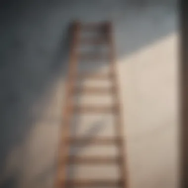 Graphic showing a ladder leading upwards as a metaphor for self-improvement