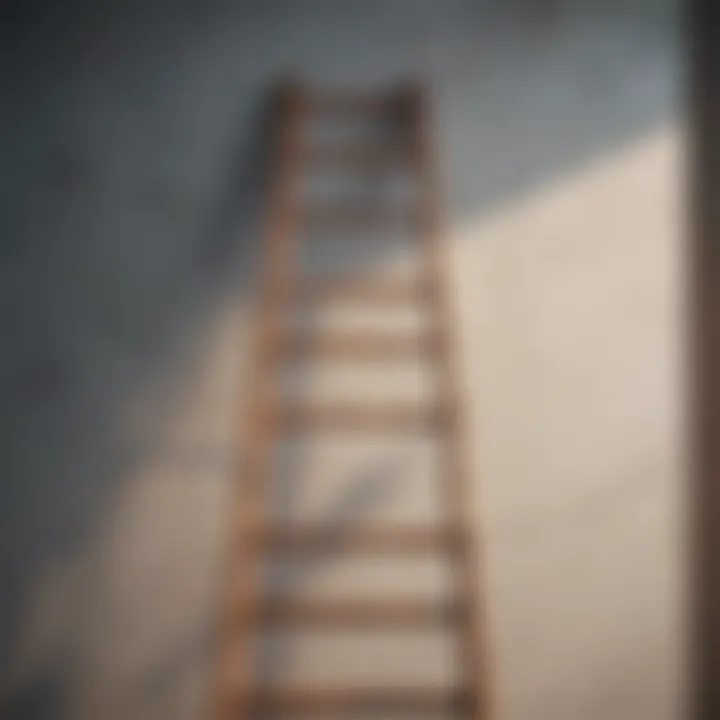 Graphic showing a ladder leading upwards as a metaphor for self-improvement