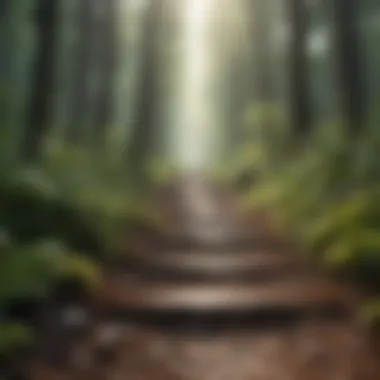 A path through a forest illustrating the journey of life.