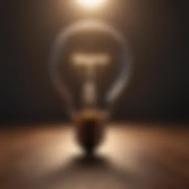 Enlightenment Concept - Light Bulb Illuminating Path