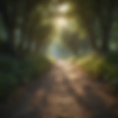 Path to Enlightenment Path to Enlightenment