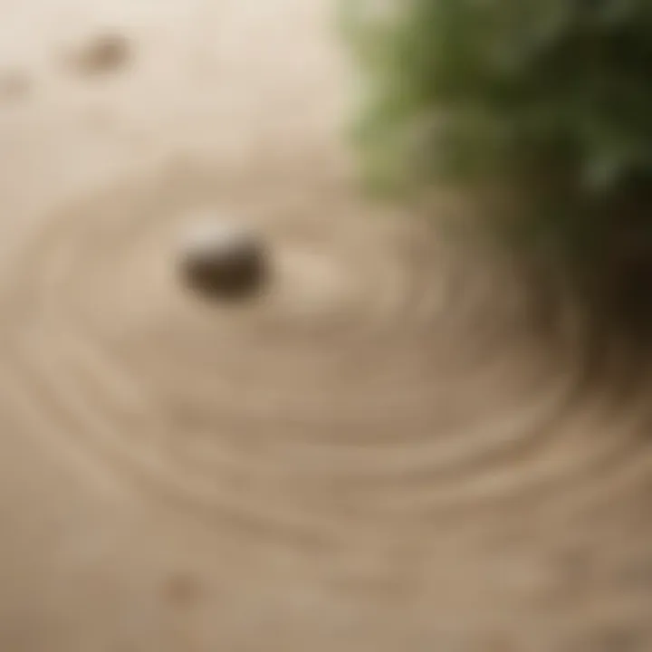 Zen Garden with Raked Sand