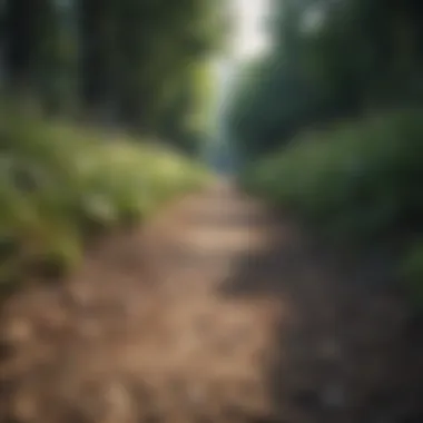 Path to Personal Growth Navigating the Path to Personal Growth