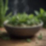 Herbal relaxation technique