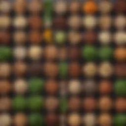 An assortment of low-carb foods including greens, nuts, and protein sources