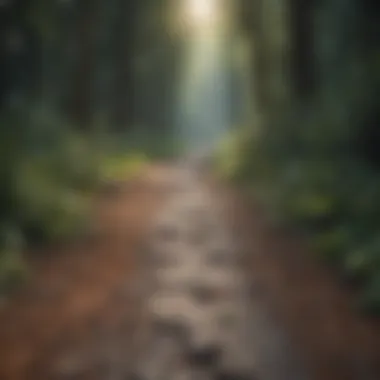 Path to Healing Symbolic imagery of healing and reconnection