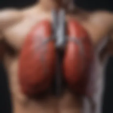 Vital Organ Maintenance for Holistic Health Healthy liver symbolizing well-being