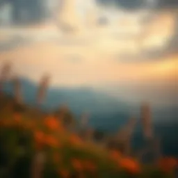 A tranquil landscape symbolizing mental peace