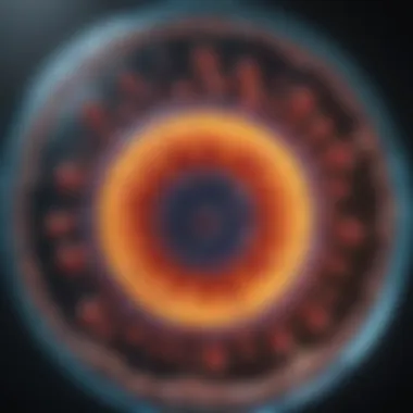 Cellular Autophagy Process Visualization of Cellular Autophagy Mechanism