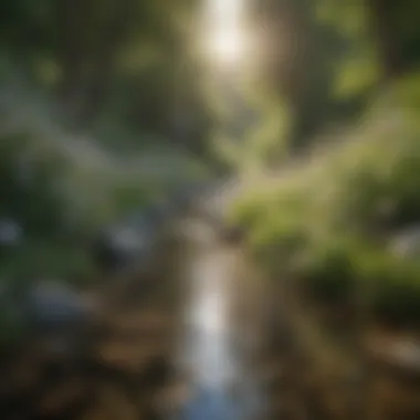 Tranquil Journey Towards Healing A serene landscape with blooming flowers and a tranquil stream