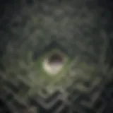 Symbolic representation of life's journey through a maze