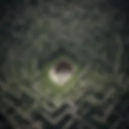 Symbolic representation of life's journey through a maze