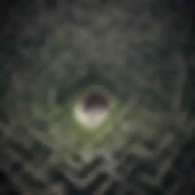 Symbolic representation of life's journey through a maze