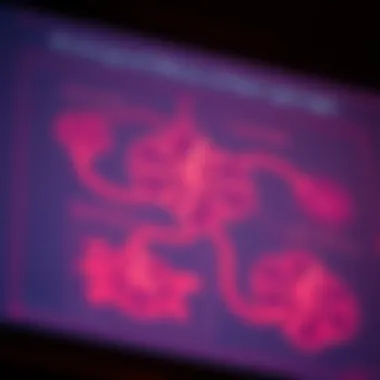 Biological Effects of Red Light Diagram depicting biological effects of red light