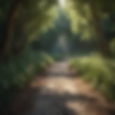 Journey to Self-Discovery Pathway leading to personal growth and healing