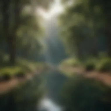 A Tranquil Retreat for the Mind Serene landscape promoting mental tranquility