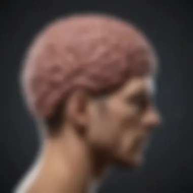 Psychological Dimensions of Life Captions Brain illustration depicting psychological aspects of life captions