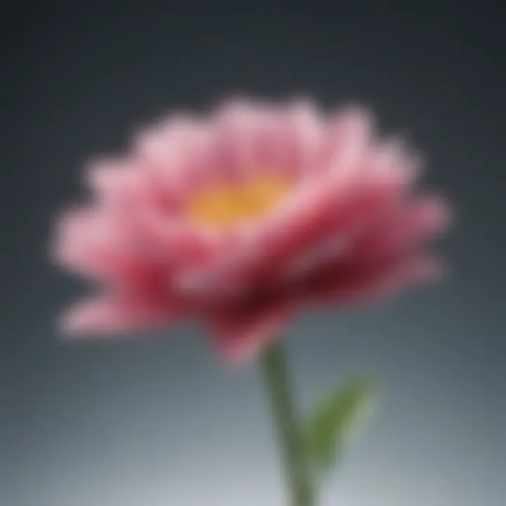 Close-up of a single flower blooming, representing beauty in the present.