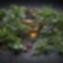 Illustration of various herbs used in parasite cleanses