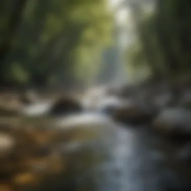 The River of Time: Mindfulness in Motion A tranquil scene of a flowing river, representing the flow of time and mindfulness.