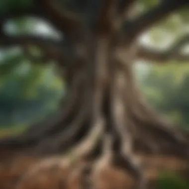 Roots of Wisdom An ancient tree with deep roots and lush foliage, representing wisdom and growth over time.