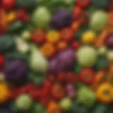 A vibrant assortment of colorful vegetables showcasing their diverse shapes and textures