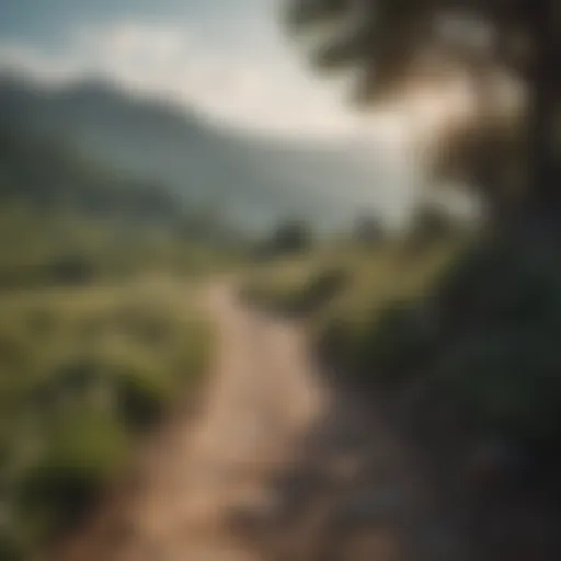 A serene landscape symbolizing tranquility and reflection