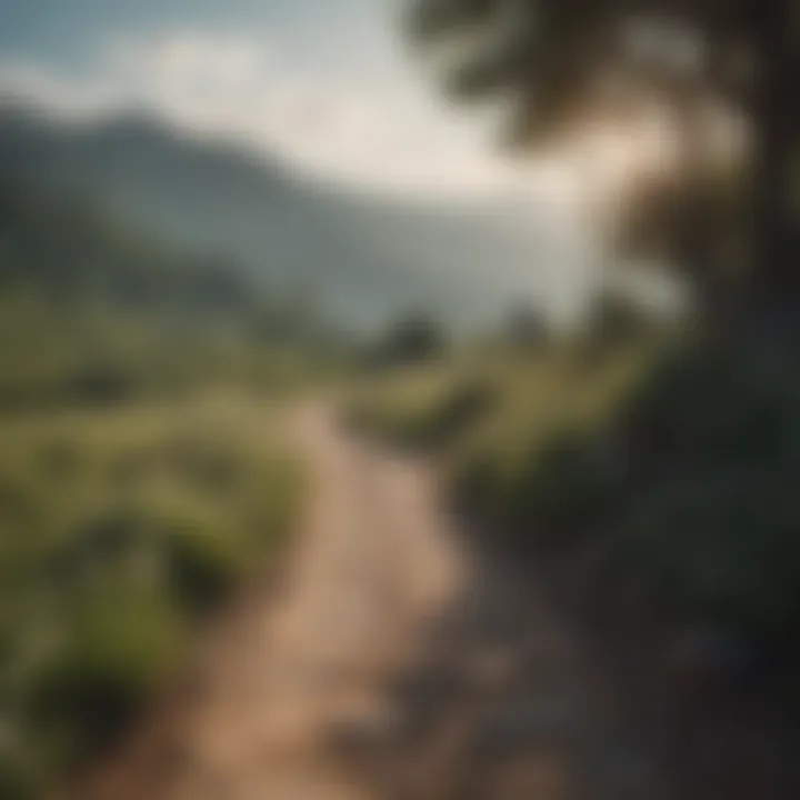 A serene landscape symbolizing tranquility and reflection