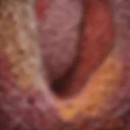 Conceptual illustration of gut permeability