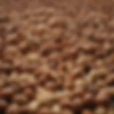 Abundant Nutrient-Rich Seeds and Nuts Nutrient-Rich Seeds and Nuts