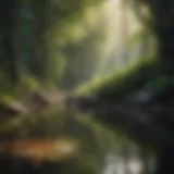 Serene reflection in nature