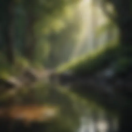Serene reflection in nature