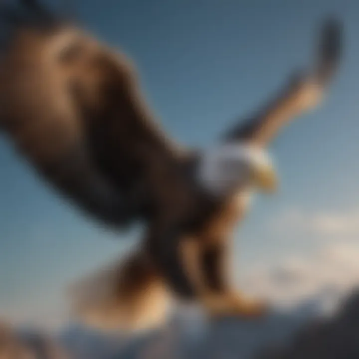 Illustration depicting a soaring eagle symbolizing strength and resilience