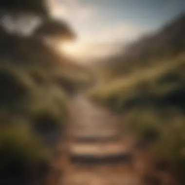 Finding Your Path A serene landscape with a winding path leading towards the horizon