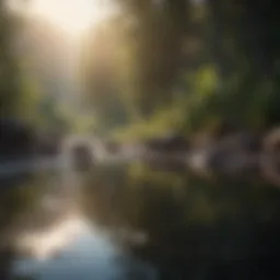 A serene landscape representing inner peace and reflection.