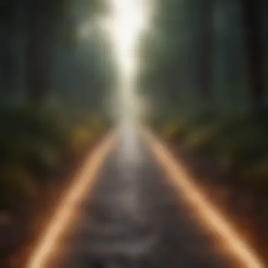 The Illuminating Pathway of Manifestation Illuminating Pathway of Manifestation