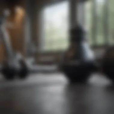 Empowering Fitness Tools for Wellness Fitness training equipment