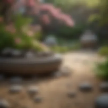 Zen garden with blooming flowers